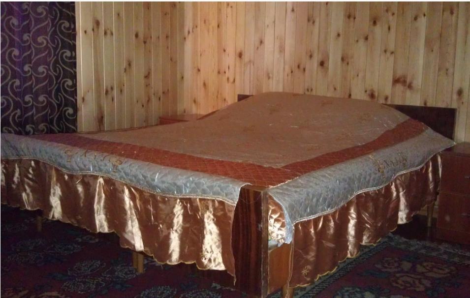 Guest House Vip Osh Bilik gambar